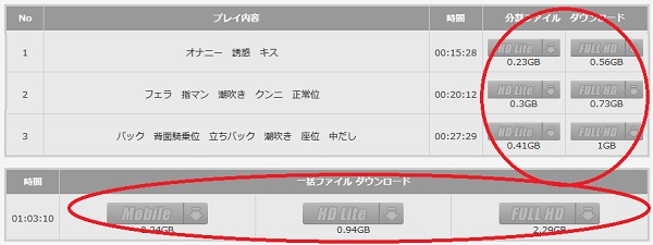 ダウンロード容量サイズを確認