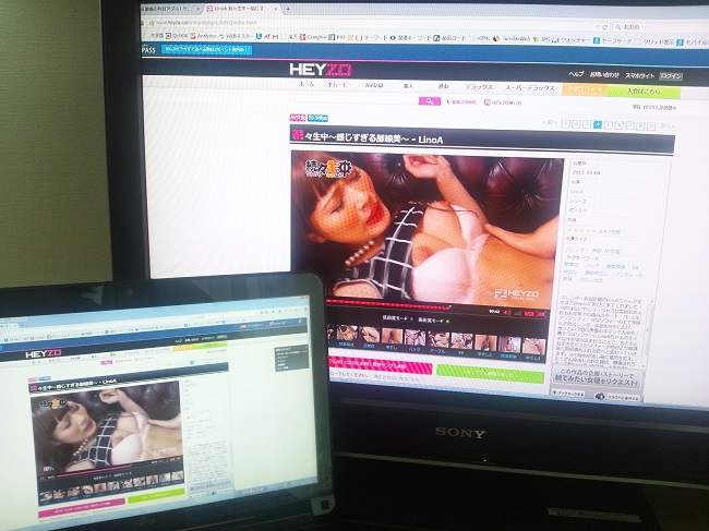 テレビでHEYZOの動画を見る図